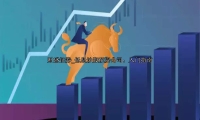 低息炒股配资公司：入门指南