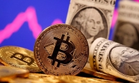 中际旭创：2月28日召开董事会会议